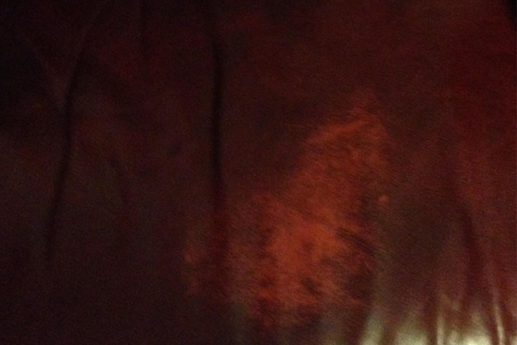 Second red leather sofa before repair